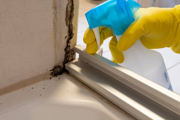 Fairfax Station, VA Mold Removal Company